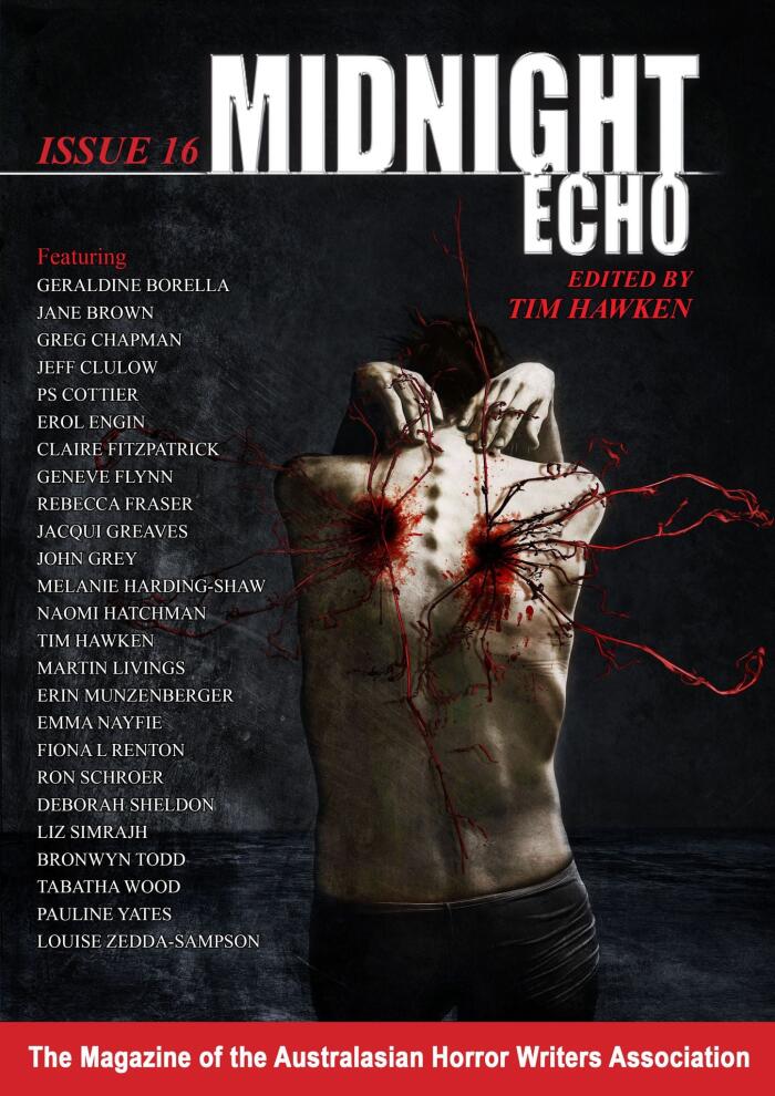Midnight Echo 16