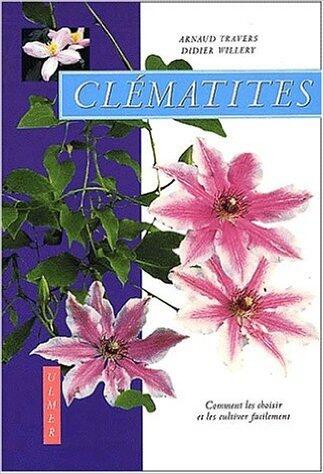 Clématites: Comment Les Choisir Et Les Cultiver Facilement
