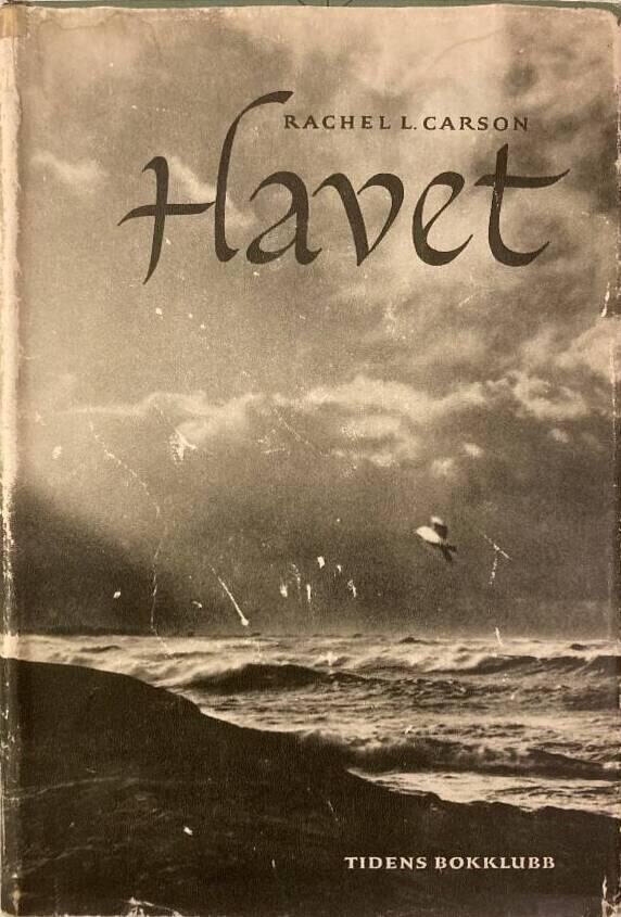 Havet