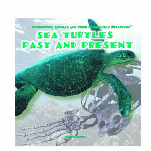 Sea Turtles: Past and Present