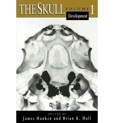 The Skull: Development (Vol. 1)