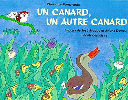 Canard un autre canard