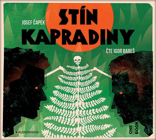 Stín kapradiny