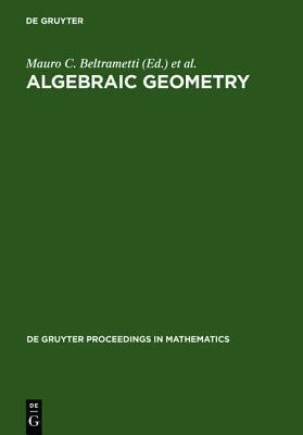 Algebraic Geometry: A Volume in Memory of Paolo Francia