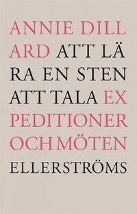 Att lära en sten att tala