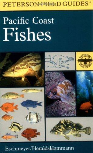 A Field Guide to Pacific Coast Fishes (North America)