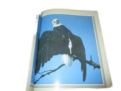The American Eagle (1994)