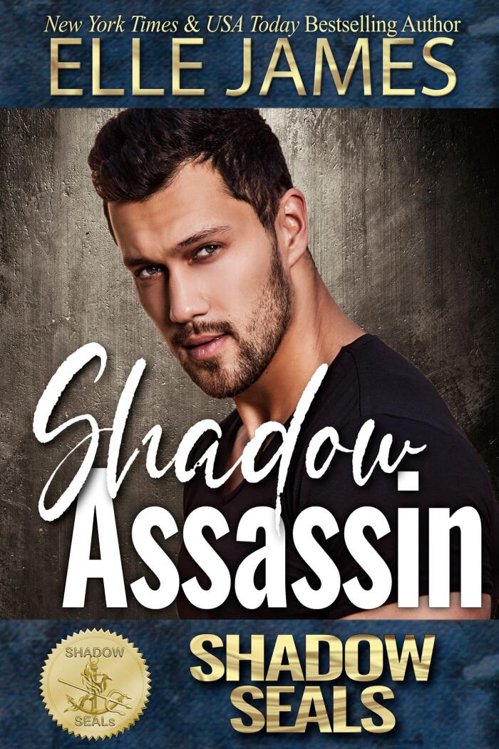 Shadow Assassin
