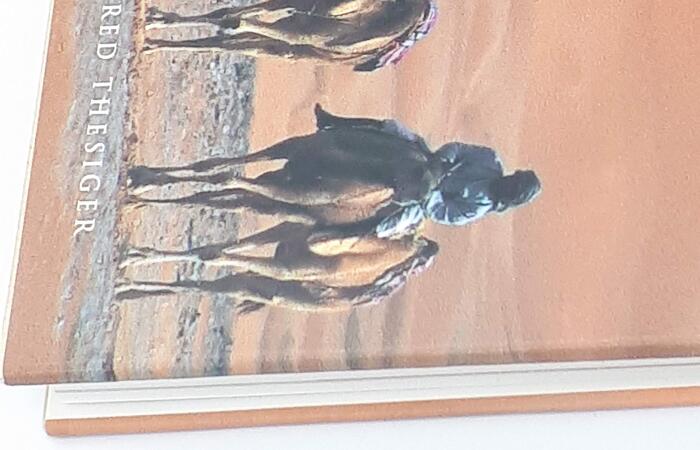 Sand Dance: By Camel Across Arabia's Great Southern Desert