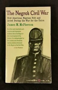 The Negro's Civil War