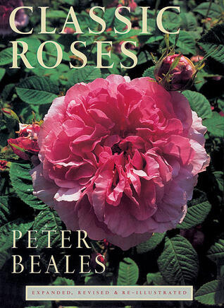Classic Roses