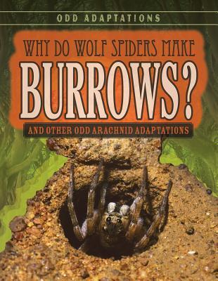 Why Do Wolf Spiders Make Burrows?: And Other Odd Arachnid Adaptations