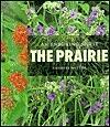 The Prairie: An Enduring Spirit (LifeViews)