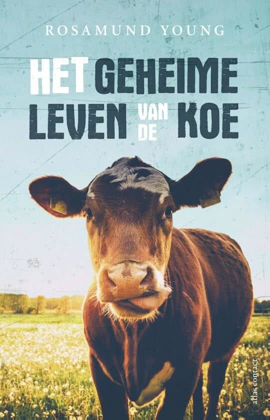 Het geheime leven van de koe