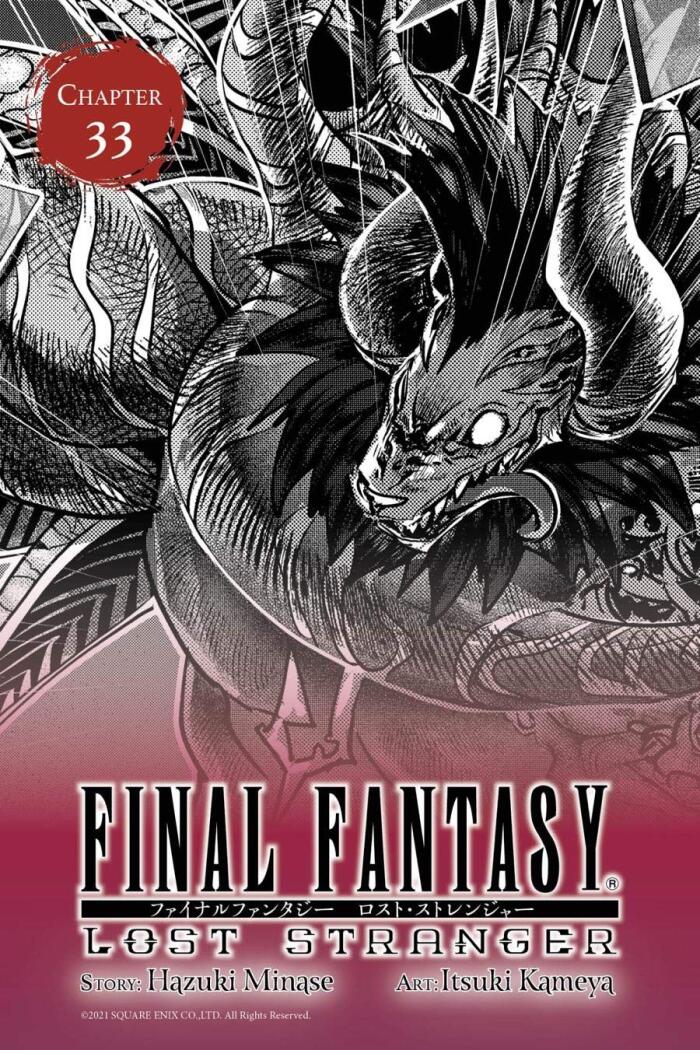 Final Fantasy Lost Stranger #33