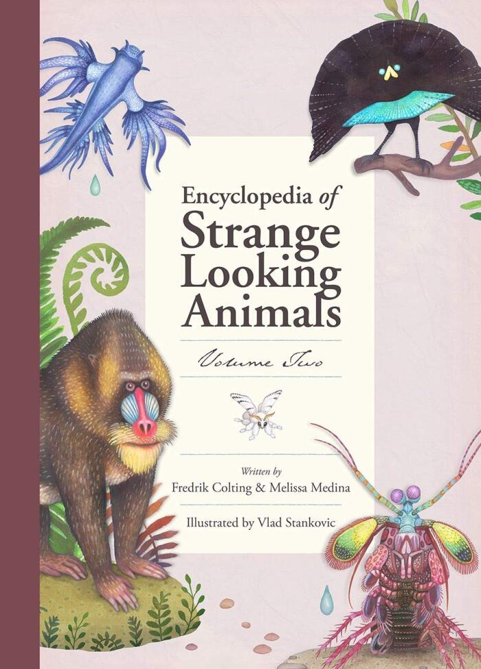 Encyclopedia of Strange Looking Animals