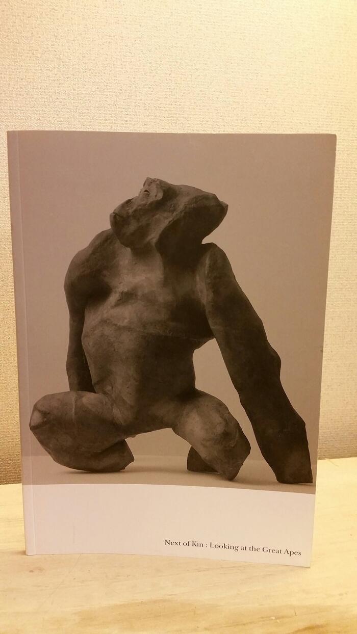 Next of Kin: Looking At the Great Apes