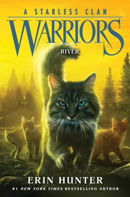 Warriors: A Starless Clan