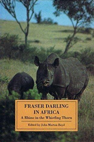 Fraser Darling in Africa: A Rhino in the Whistling Thorn