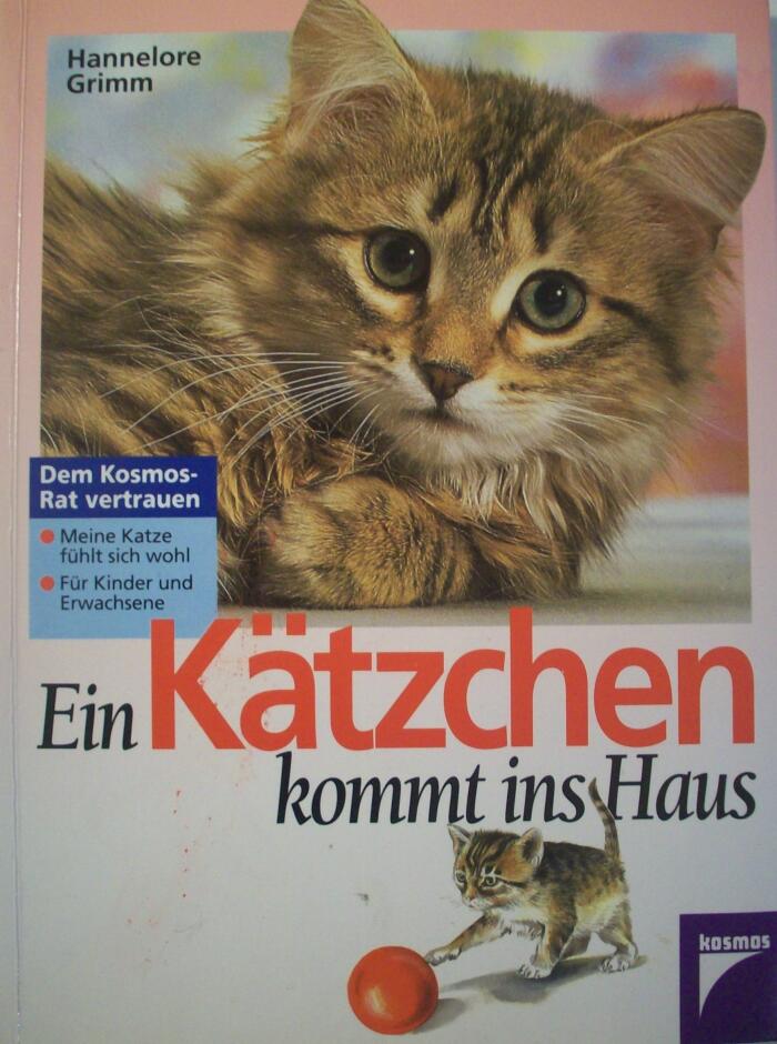Ein Kätzchen kommt ins Haus.