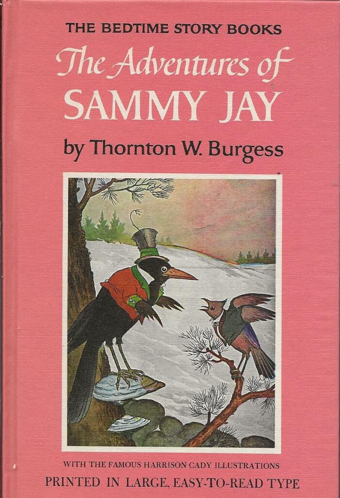 Adventures of Sammy Jay