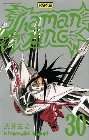 Shaman King, tome 30