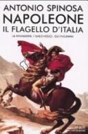 Napoleone. Il flagello d'Italia. Le invasioni, i saccheggi, gli inganni
