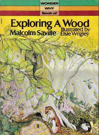 Exploring a Wood