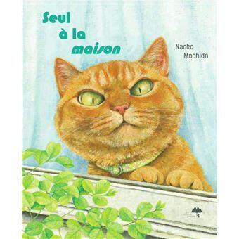 Seul à la maison