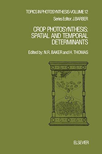 Crop Photosynthesis: Spatial and Temporal Determinants