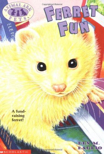 Ferret Fun