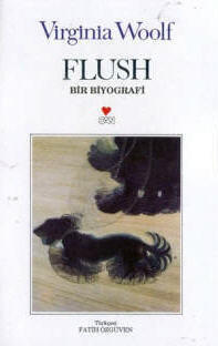 Flush - Bir Biyografi