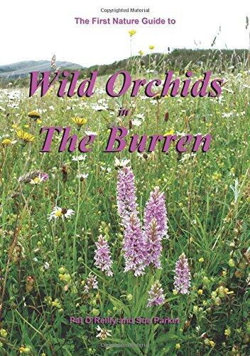 The First nature guide to wild orchids in the Burren