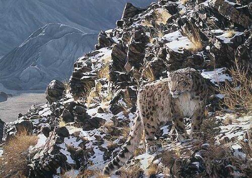 Simon Combes - Mountain Myth