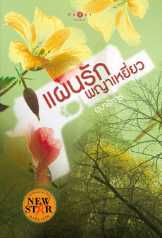 แผนรักพญาเหยี่ยว