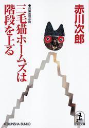 三毛猫ホームズは階段を上る