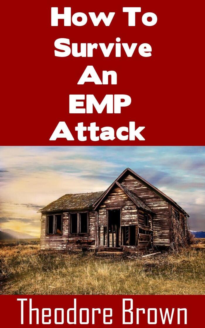 How To Survive An EMP Attack: The Ultimate Beginner's Guide On How To Stay Alive When An EMP Strikes the United States