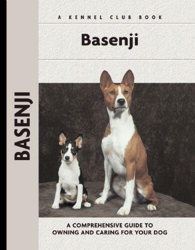 Basenji