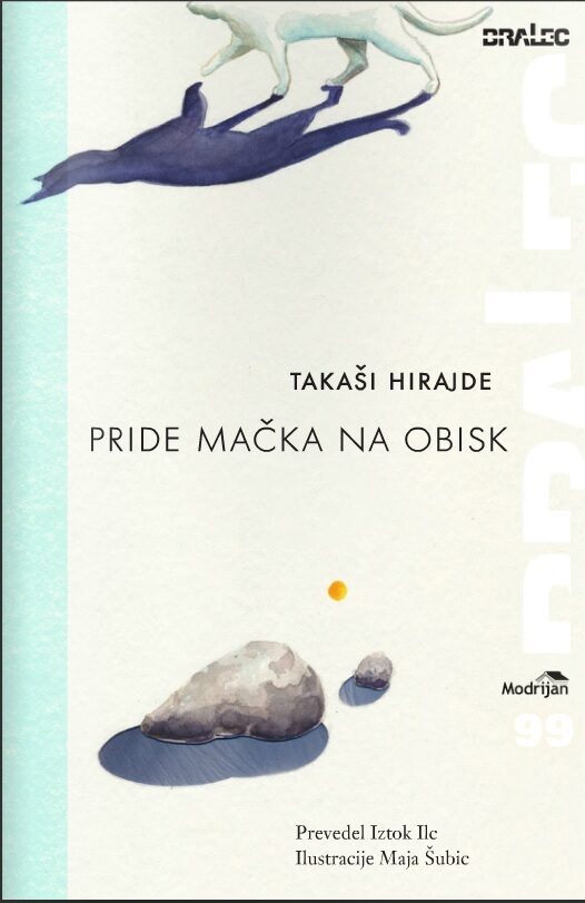 Pride mačka na obisk