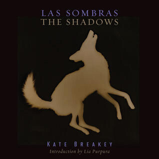 Las Sombras/The Shadows