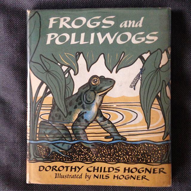 Frogs and Polliwogs