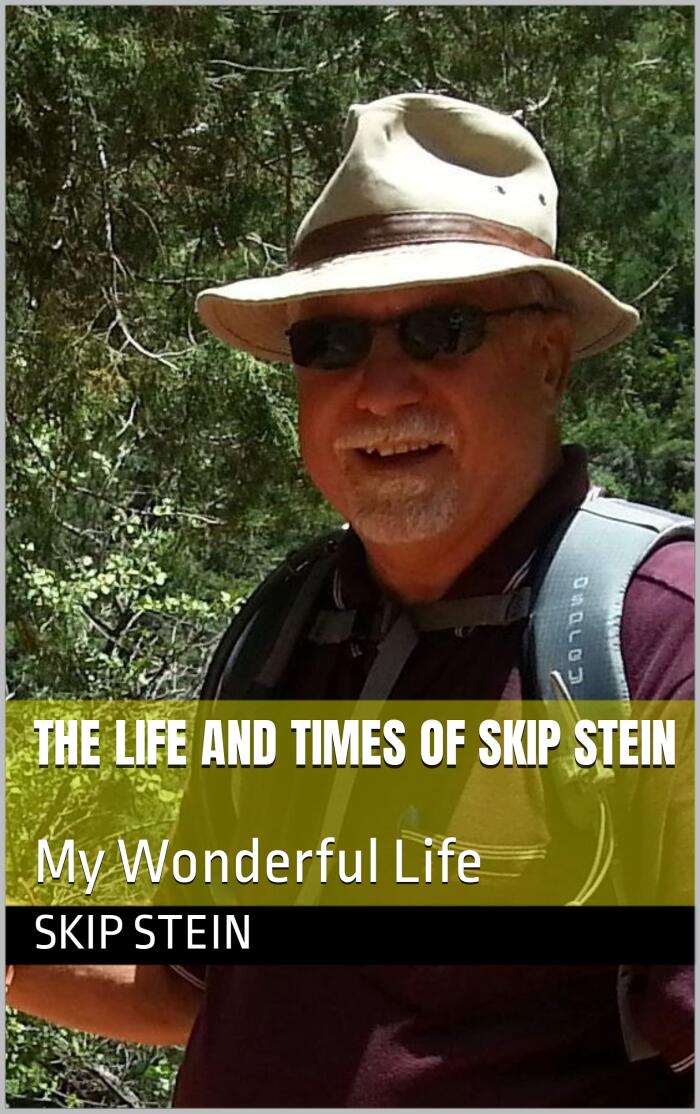 The Life and Times of Skip Stein: My Wonderful Life