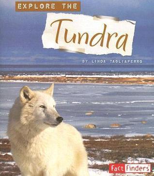 Explore the Tundra