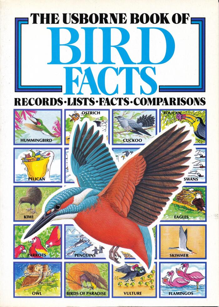 Usborne Book of Bird Facts