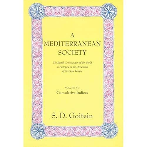A Mediterranean Society (Volume 6): The Jewish Communities of the Arab World as Portrayed in the Documents of the Cairo Geniza, Cumulative Indices