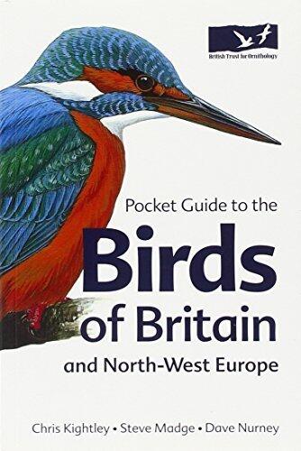 Pocket Guide to the Birds of Britain and North-West Europe (Helm Field Guides)