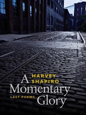 A Momentary Glory: Last Poems