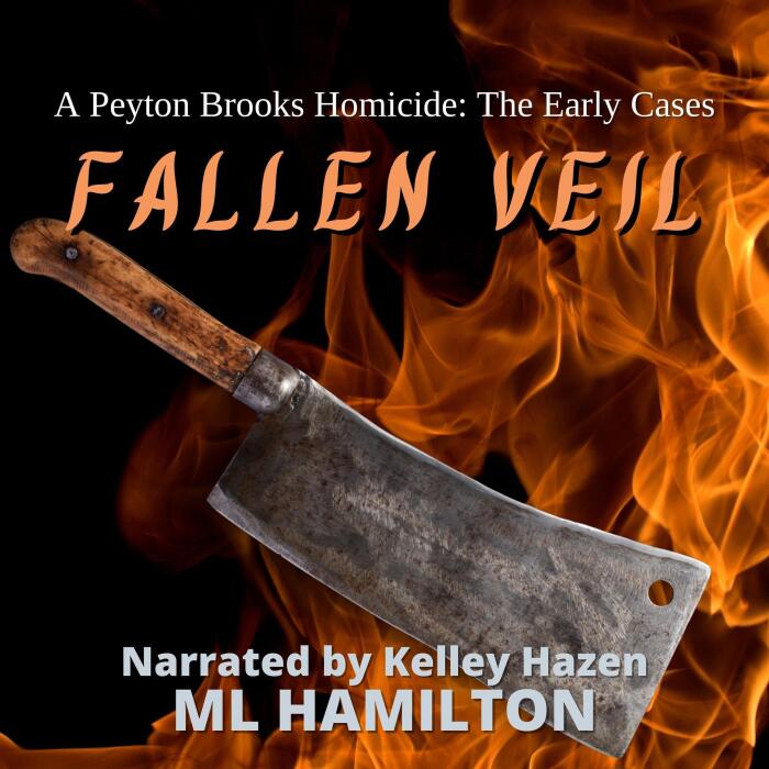 Fallen Veil: A Peyton Brooks Homicide: The Early Cases, Book 4