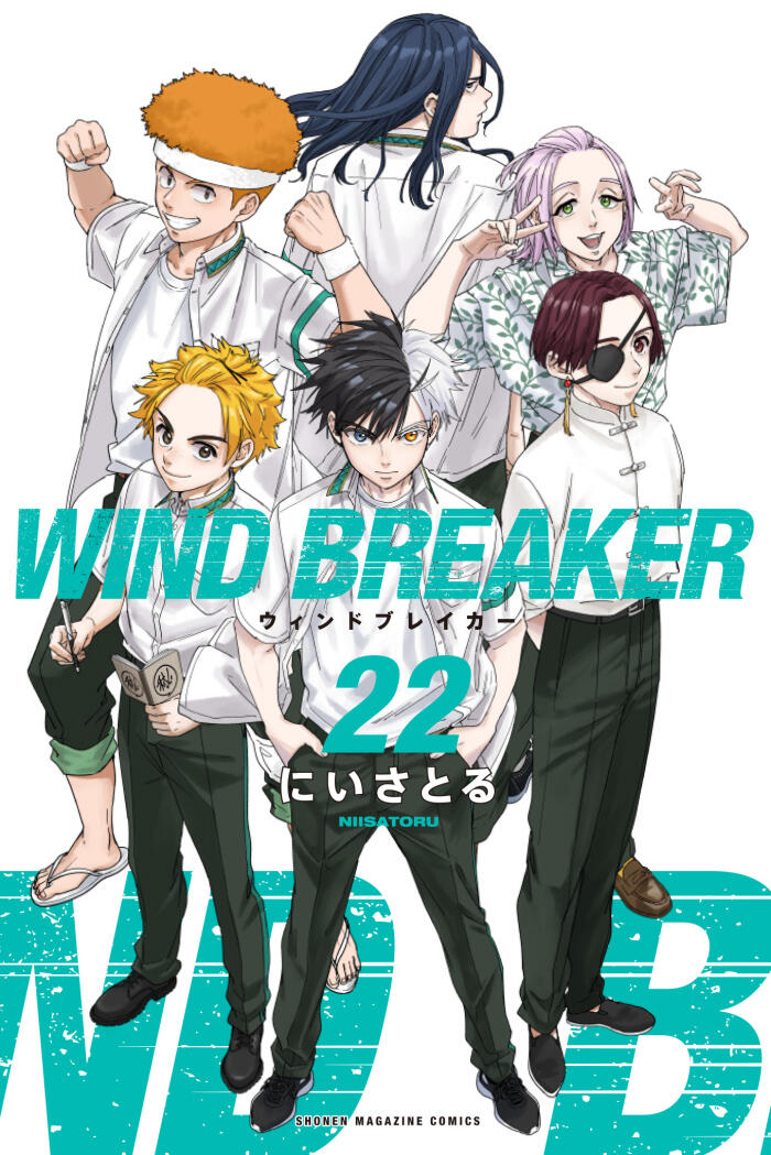 Wind Breaker 22
