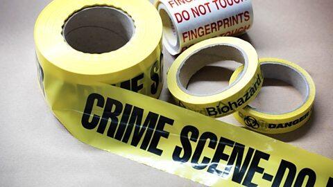 Hibernian Homicide: New Irish Crime Stories